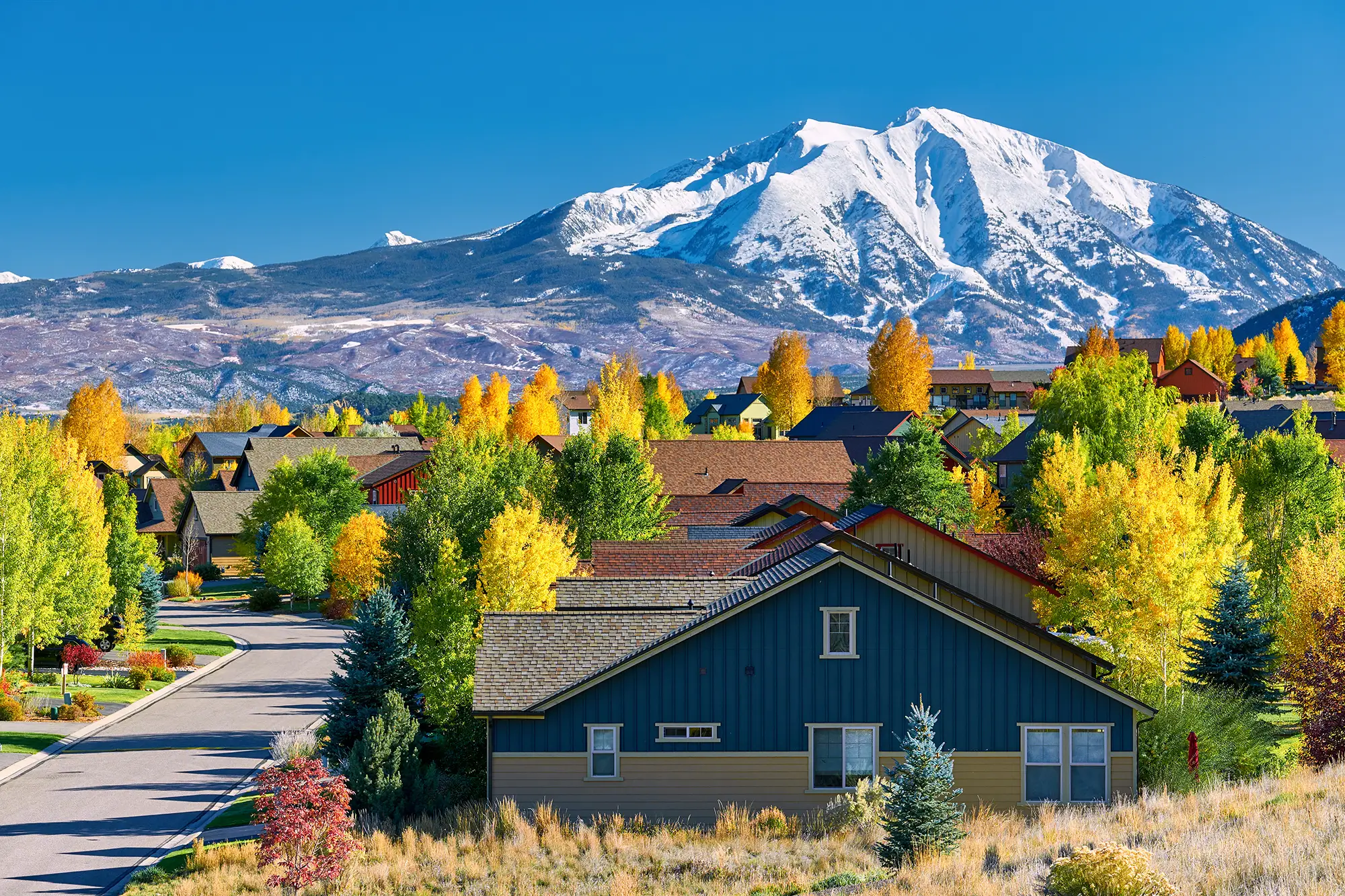 Windsor Property Management